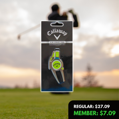 4 in 1 Divot Repair Tool, Includes Ball Marker, Brush and Groove Cleaner, Green